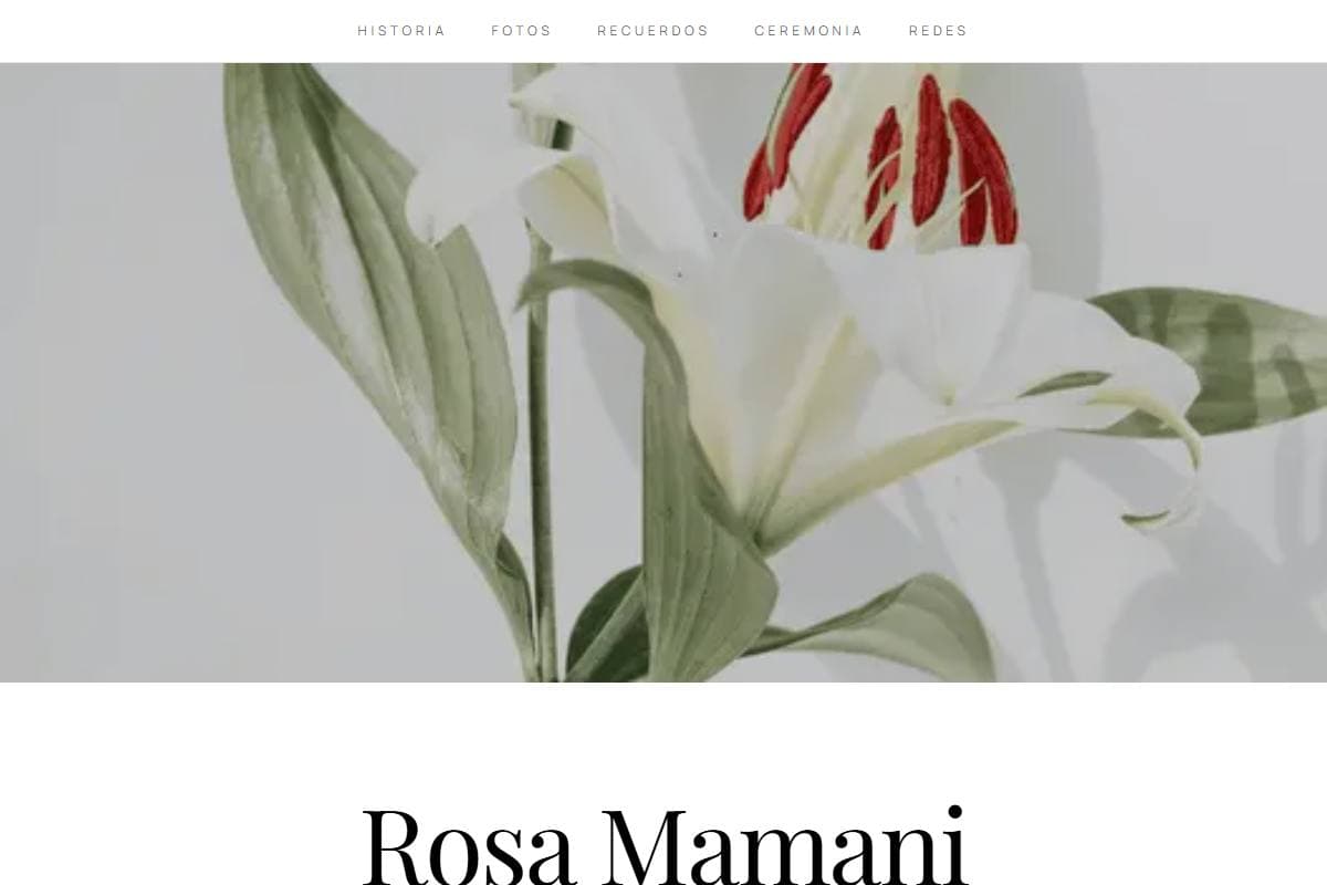 Plantilla Minimalista